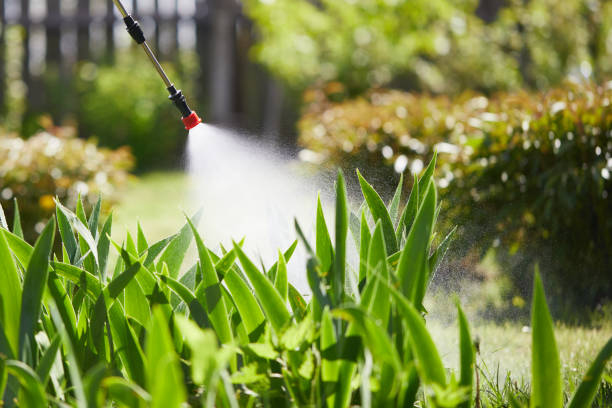 24/7 Emergency Mosquito Control experts in Laurel, MS