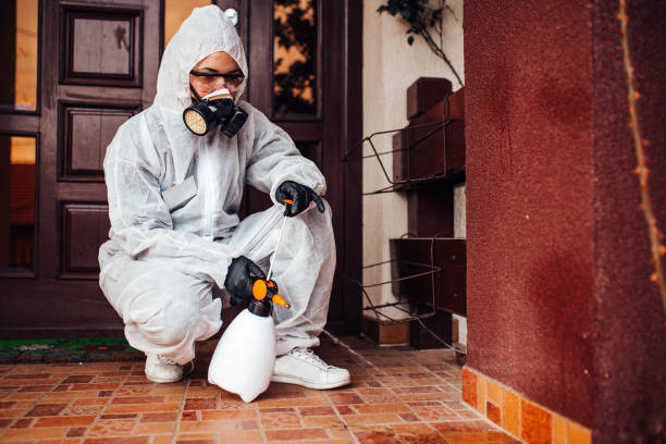 Reliable Mosquito Control contractor in Laurel, MS by Show Me Pest Control