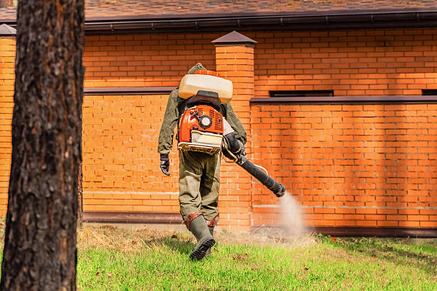 Top rated local Mosquito Control specialists in Laurel, MS